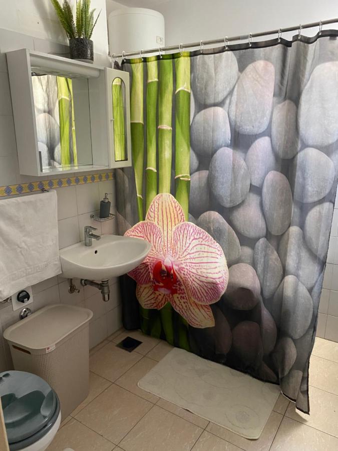 Apartment Miana 特罗吉尔 外观 照片
