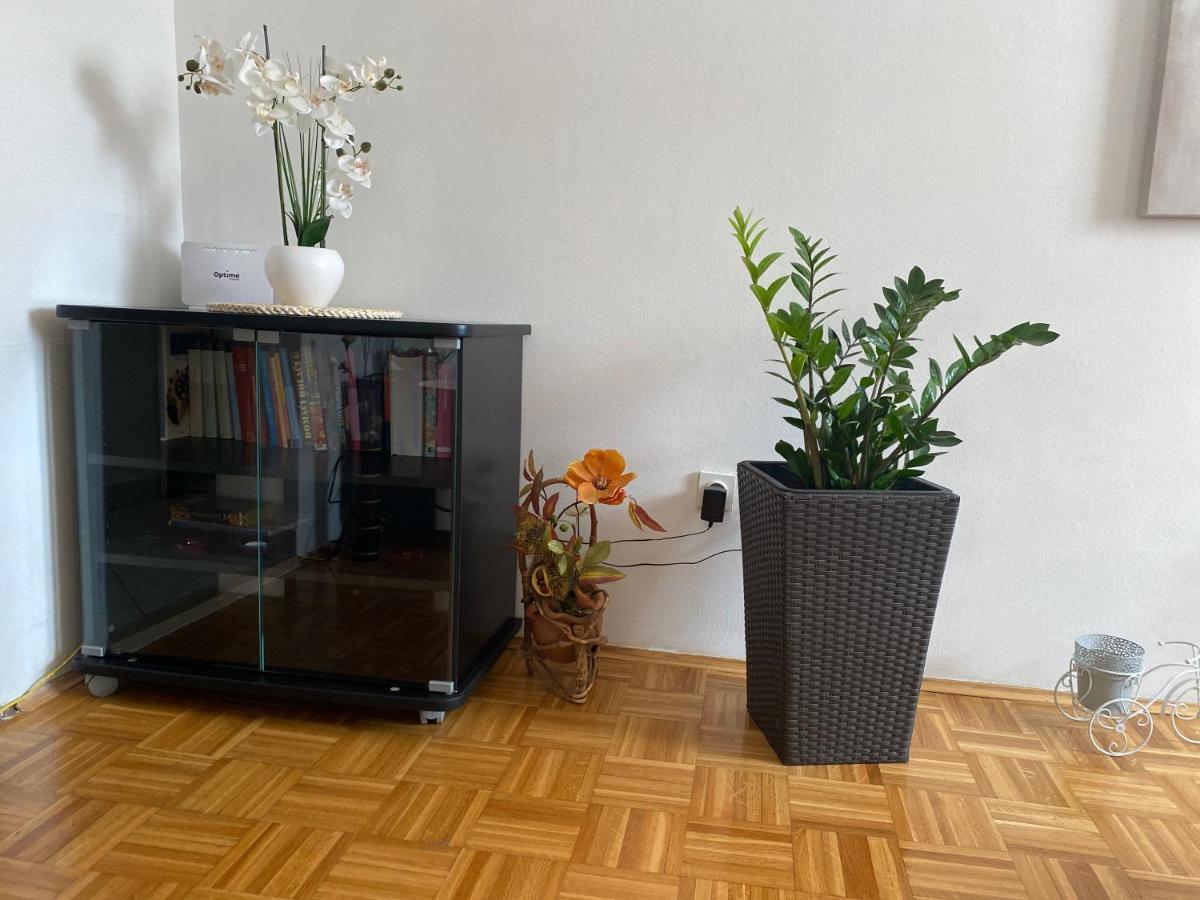 Apartment Miana 特罗吉尔 外观 照片
